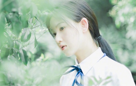 试管的步骤是什么（试管的整个过程）