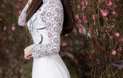 精子畸形试管成功率的简单介绍