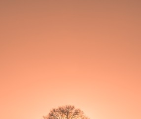 福州高薪捐卵联系方式，2024捐卵成功率最高医院介绍！